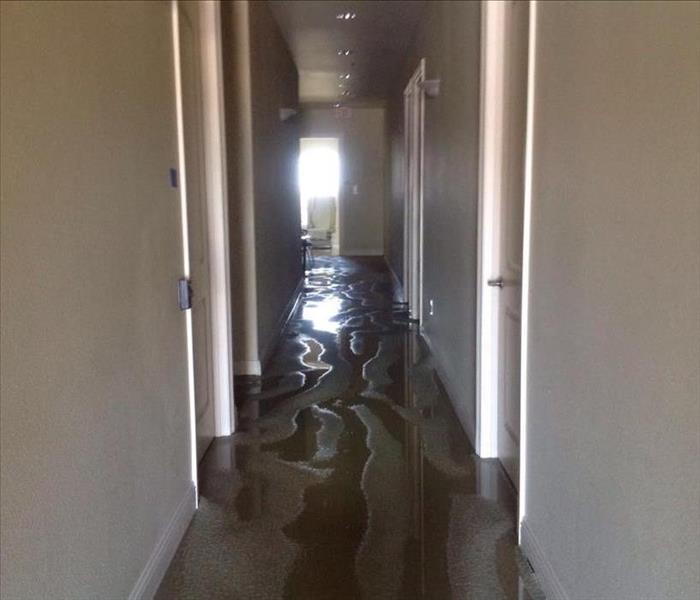 Standing water on carpet in hallway