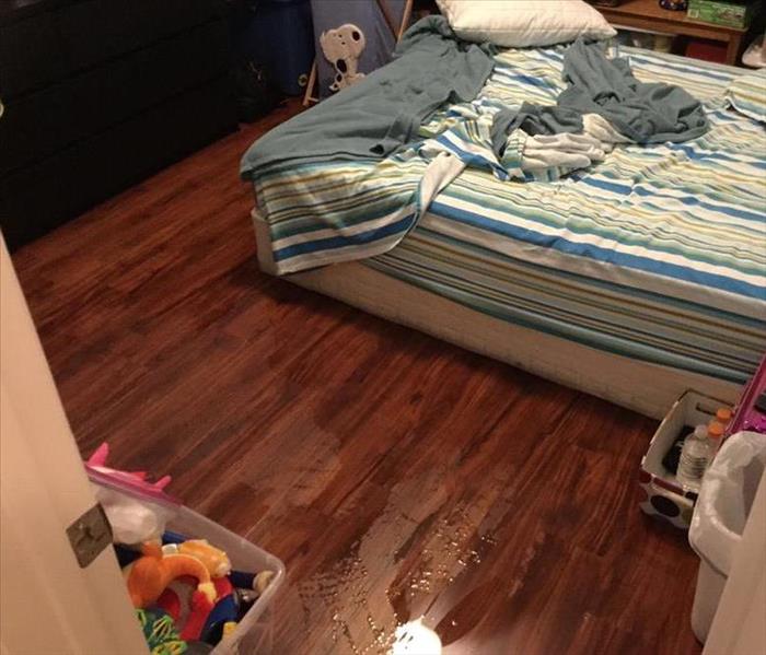 Ruined wood floors with standing water