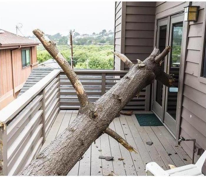 A tree fallen onto a house